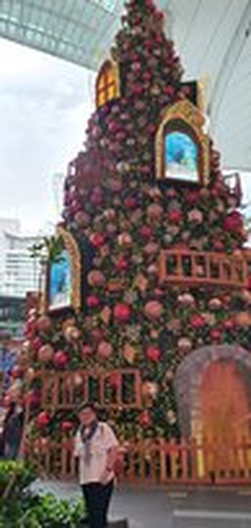 The Star Vista-新加坡必去景点