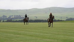 Absolute Polo-安德堡必去景点