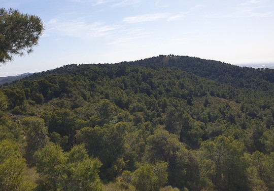 Pico Del Águila-Sangonera La Verde必去景点
