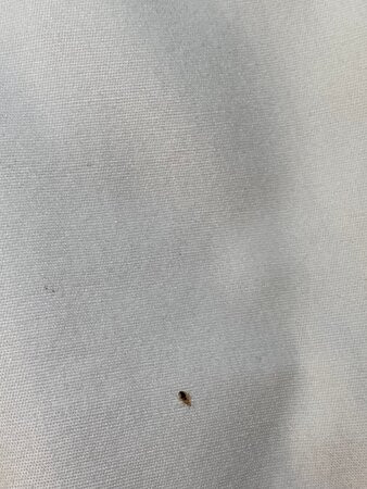 Baymont by Wyndham Freeport主图