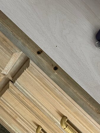 Bent Tree Motel主图