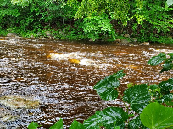 Mt. Coolidge Motel主图