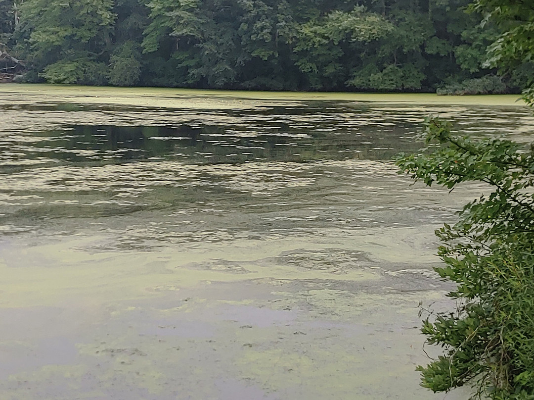 Millers Pond-Smithtown必去景点