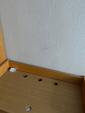 Waldhotel Berghof主图