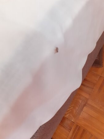 Picic Guesthouse主图