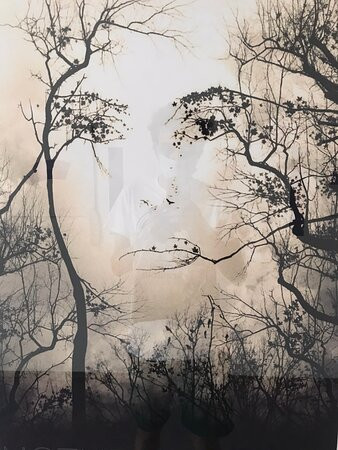 Museum of Illusions-扎达尔必去景点