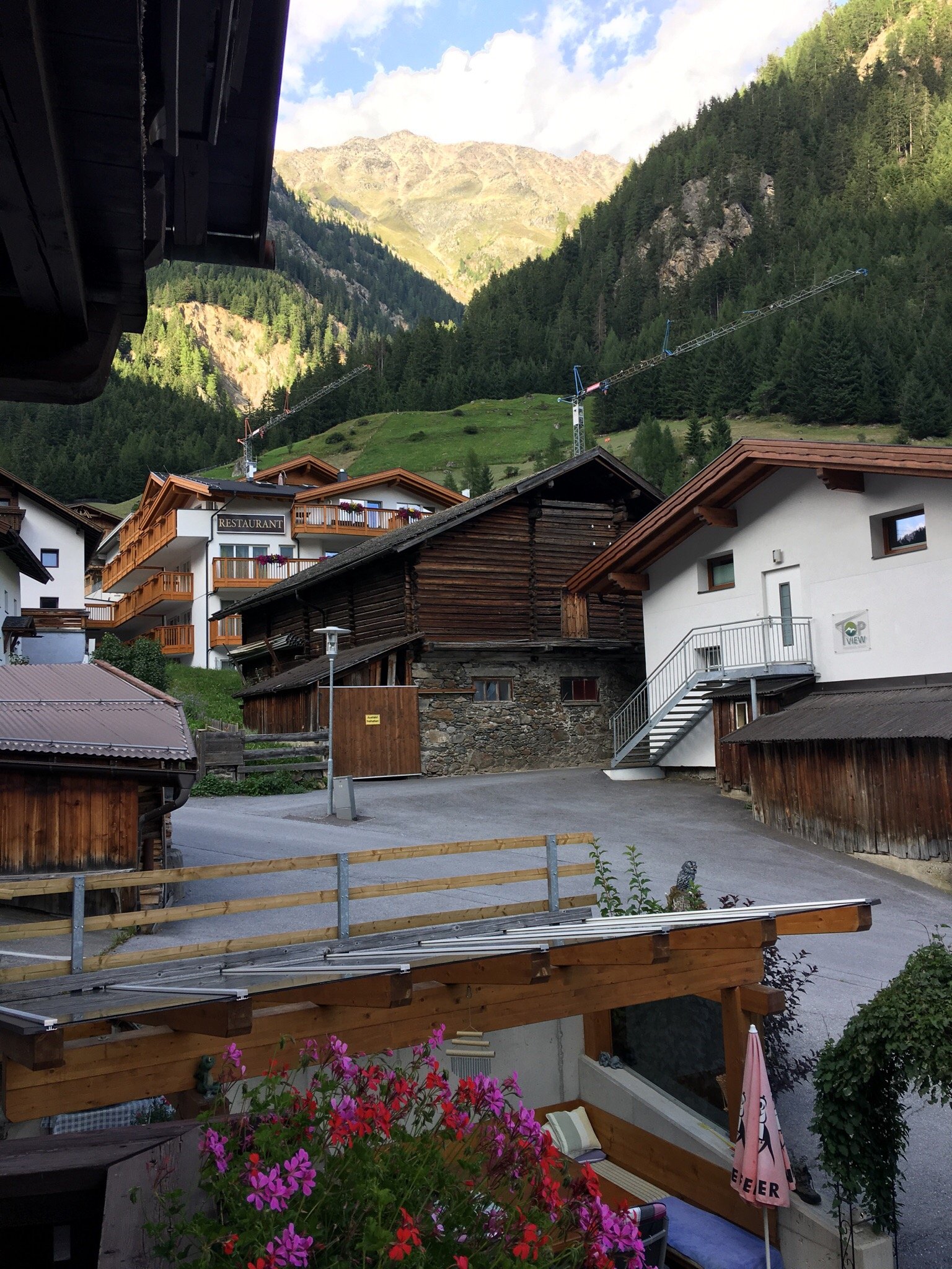 Hanni Ploerer-官方