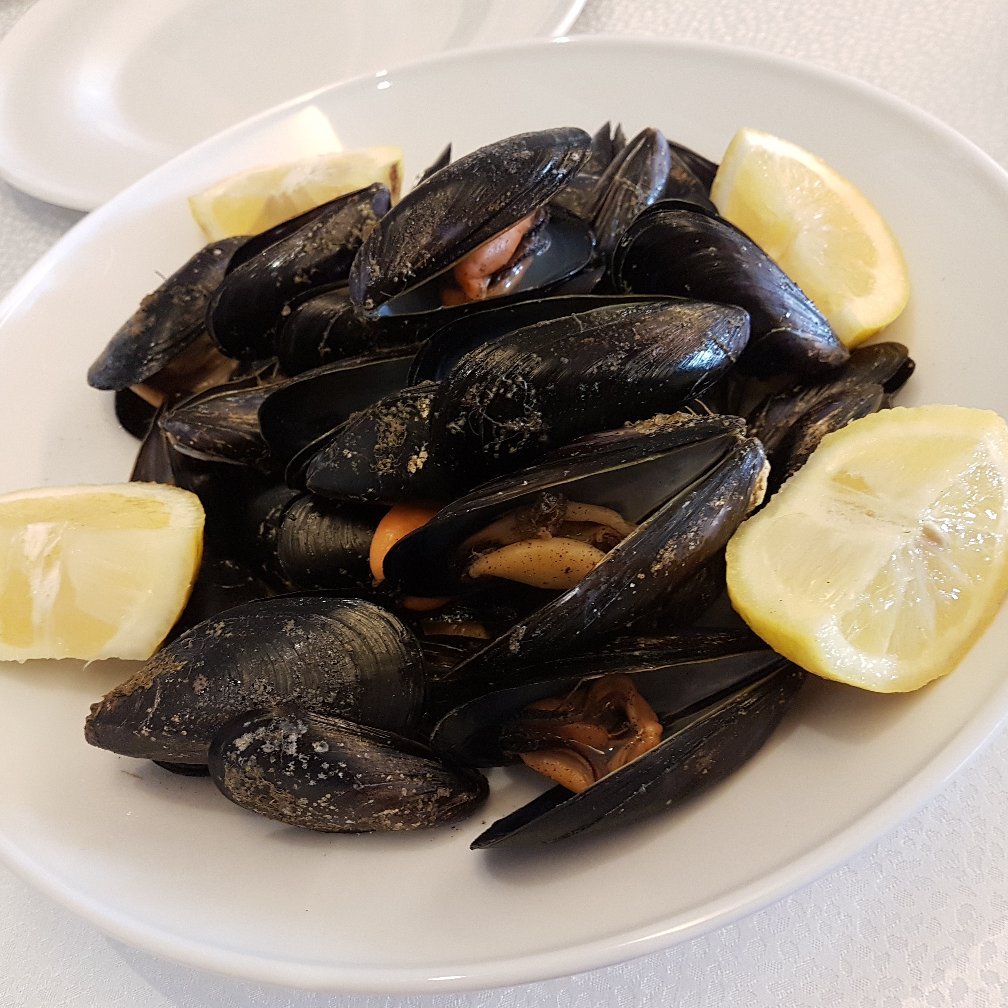 Il Gabbiano Hotel-官方