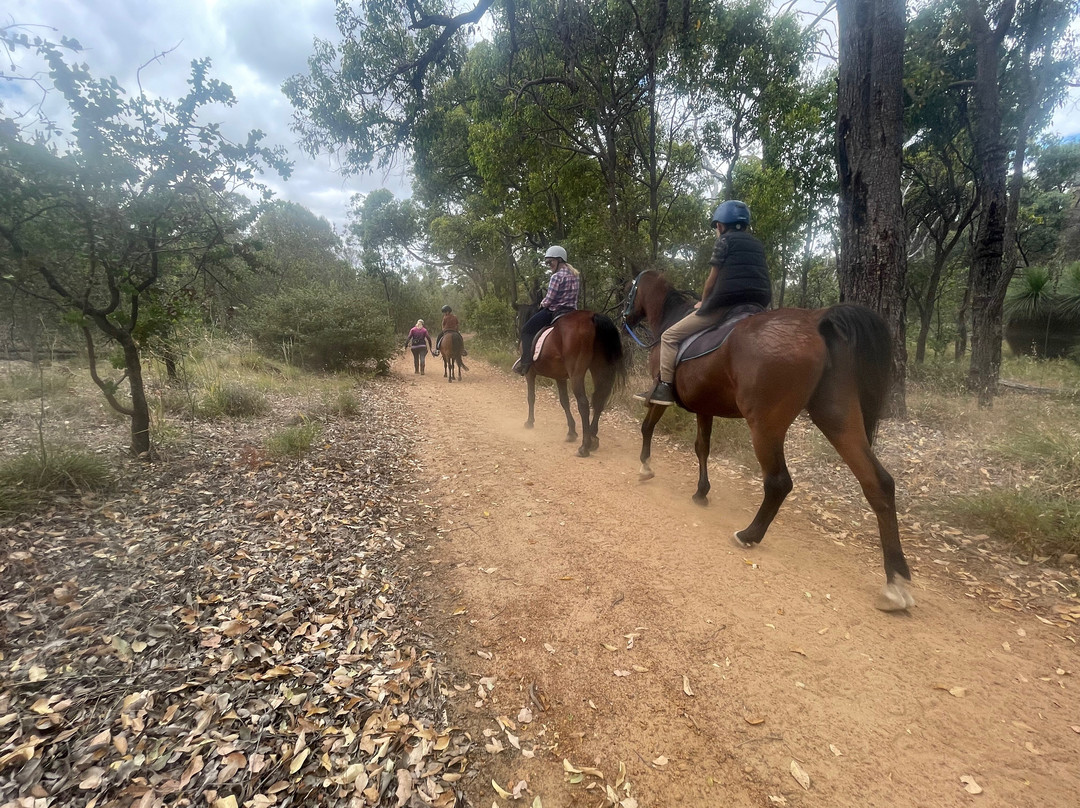 Green Gables Stables