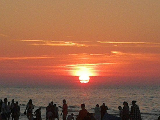 Willa Aquarius主图