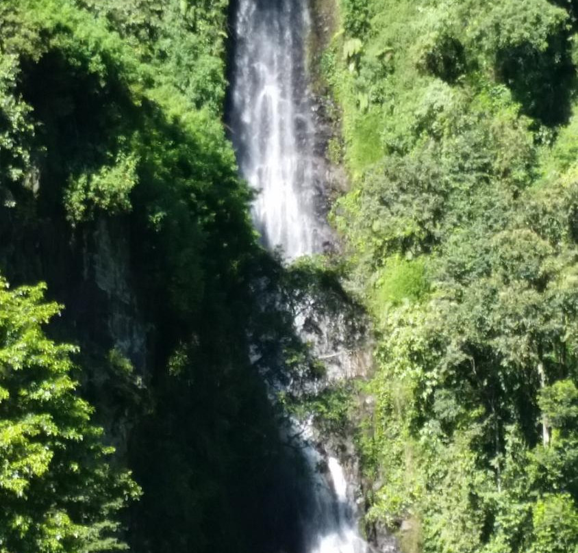 Parang Tejo Waterfall景点图片