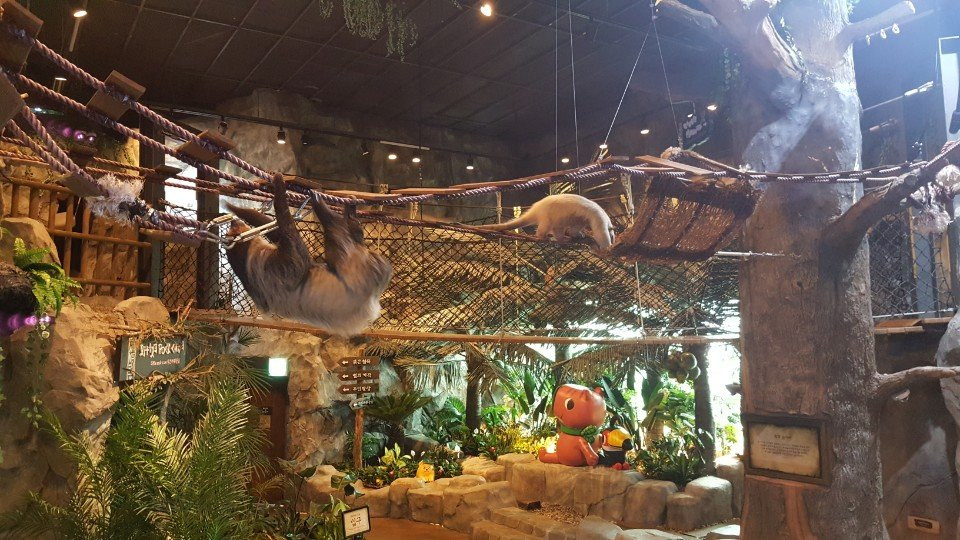 Zoolung Zoolung - Hanam