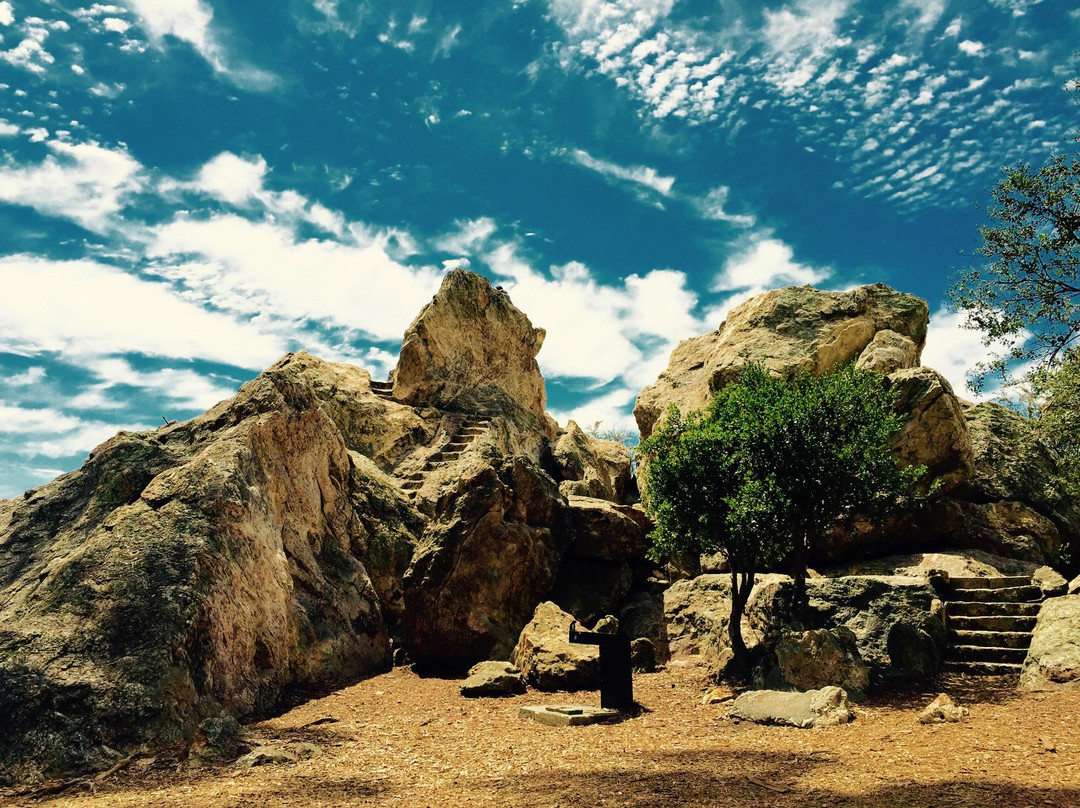 伯克利旅游攻略图片