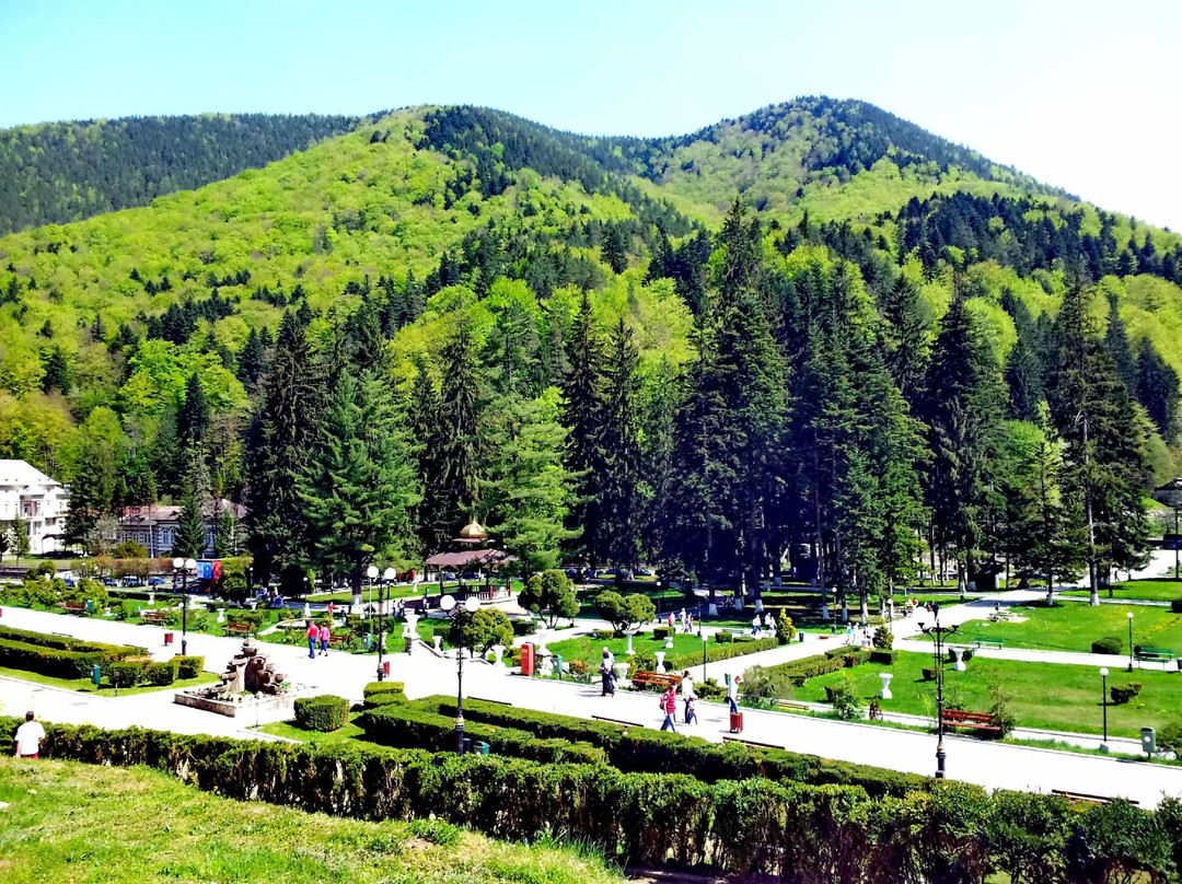 Parcul din Slanic Moldova景点图片