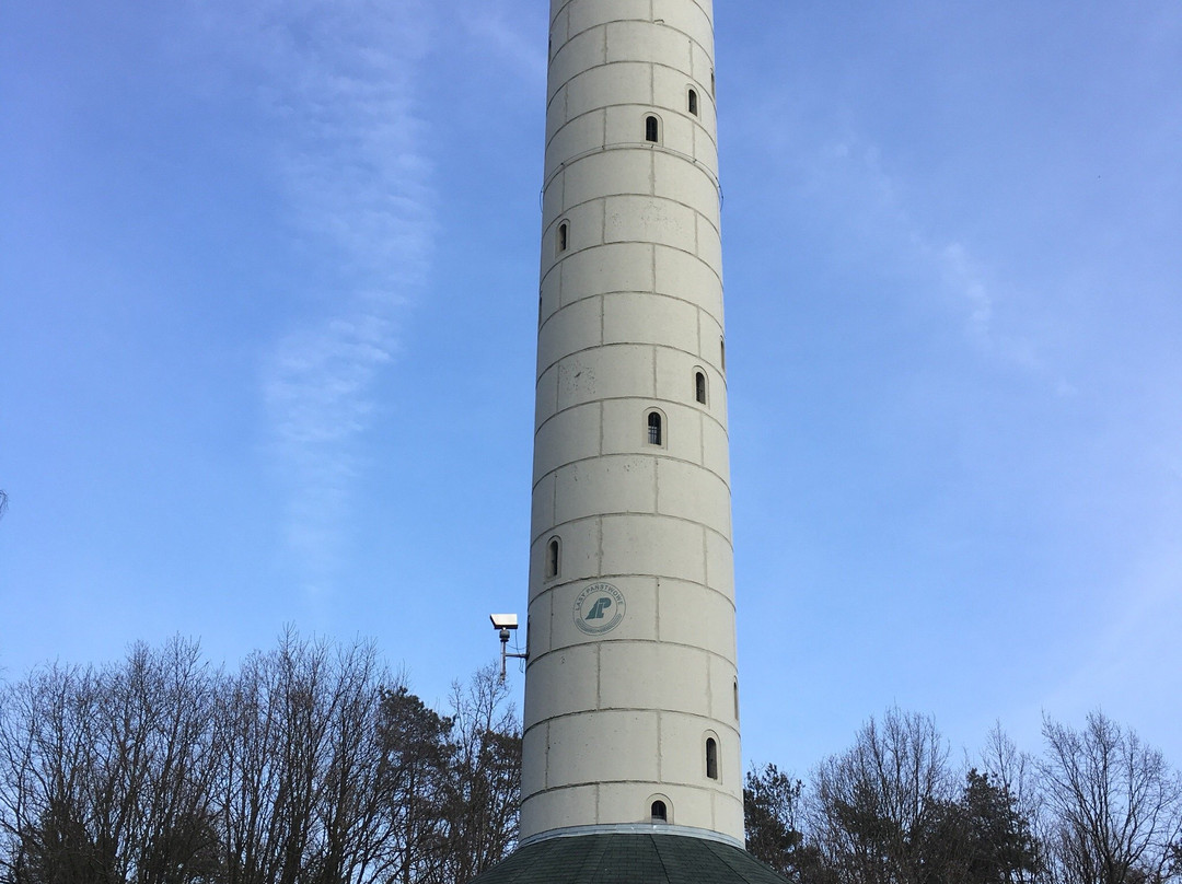 Biedrusko旅游攻略图片