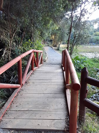 Parque Saval景点图片