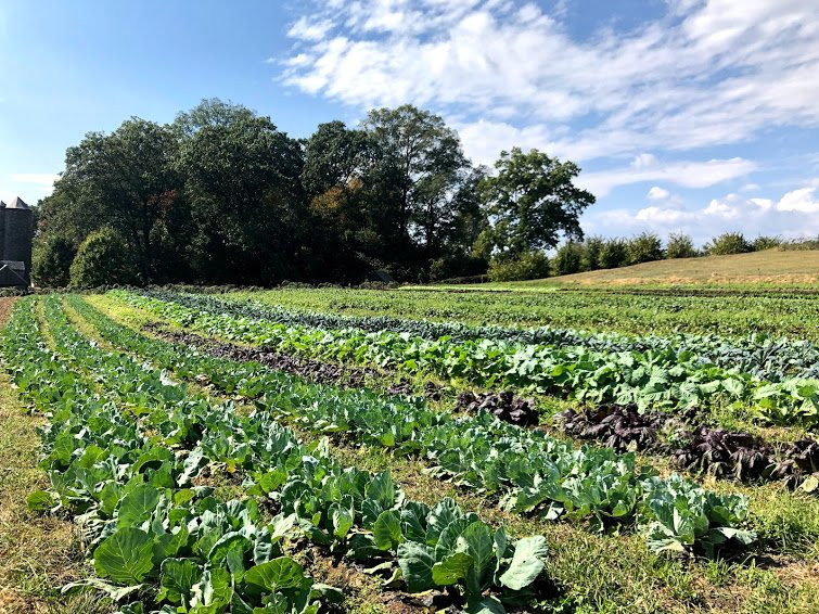 Stone Barns Center for Food and Agriculture景点图片