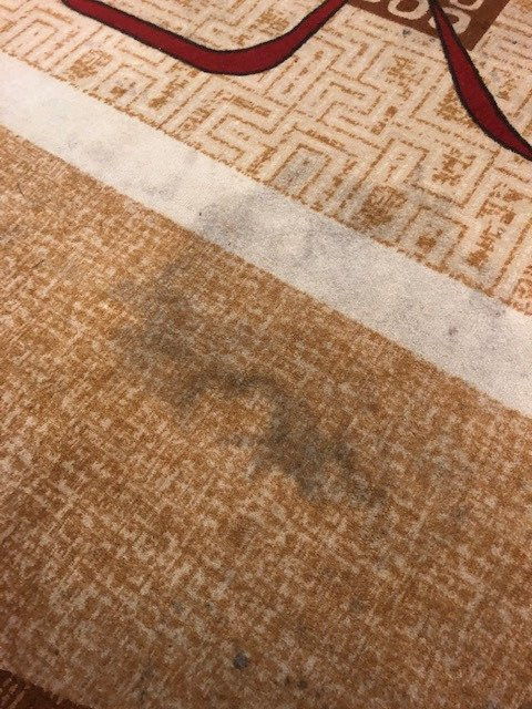 Comfort Suites Kings Bay Naval Base Area主图