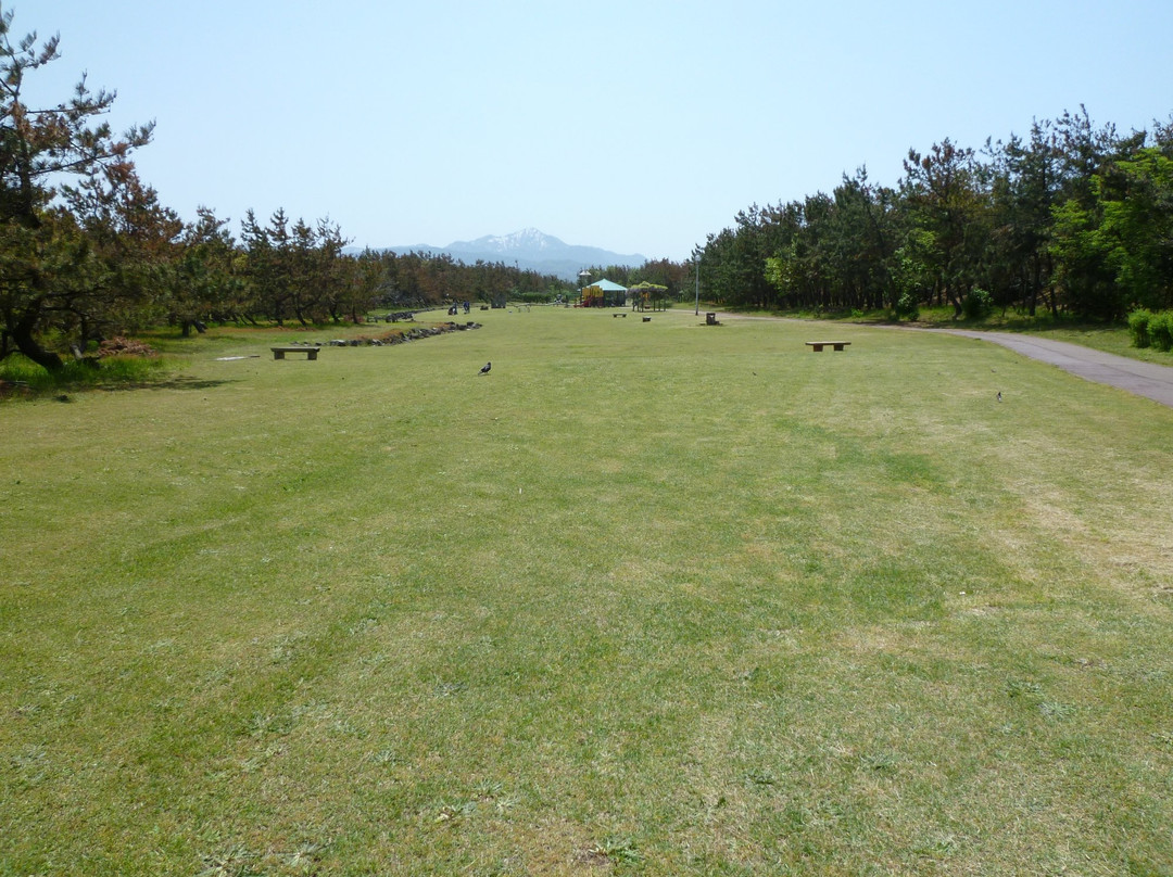 Shiokaze Park景点图片