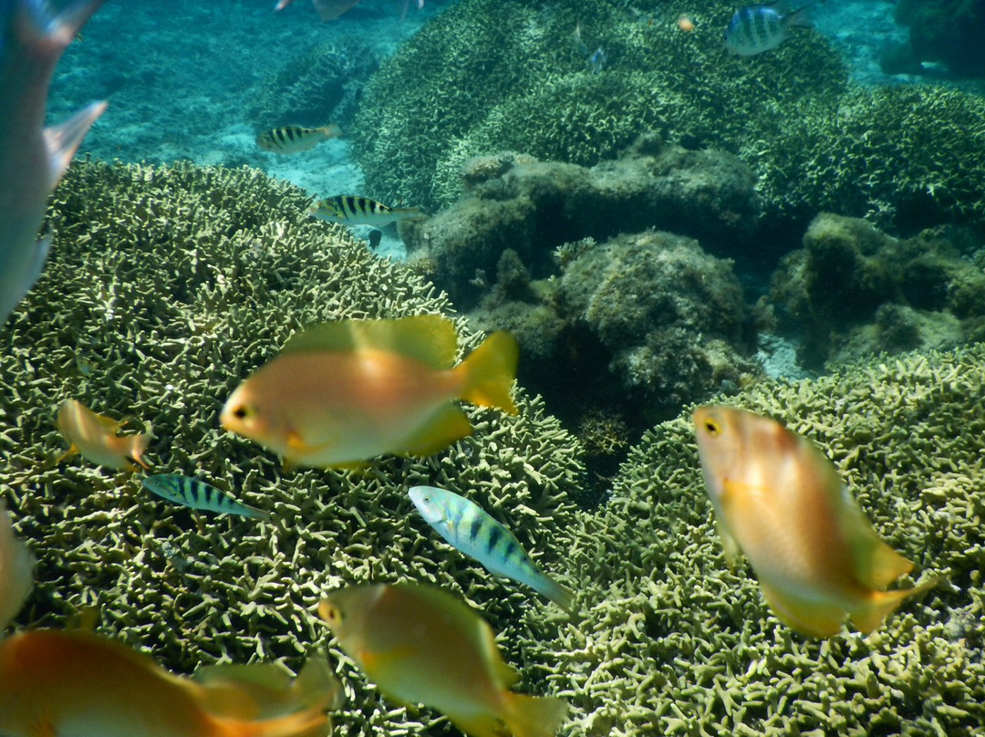 Happy Island (Tokashiki) - Day Tour-那霸市必去景点