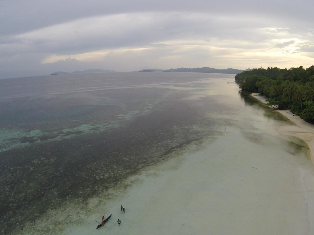 Pantai Saleo, Raja Ampat-Waisai必去景点