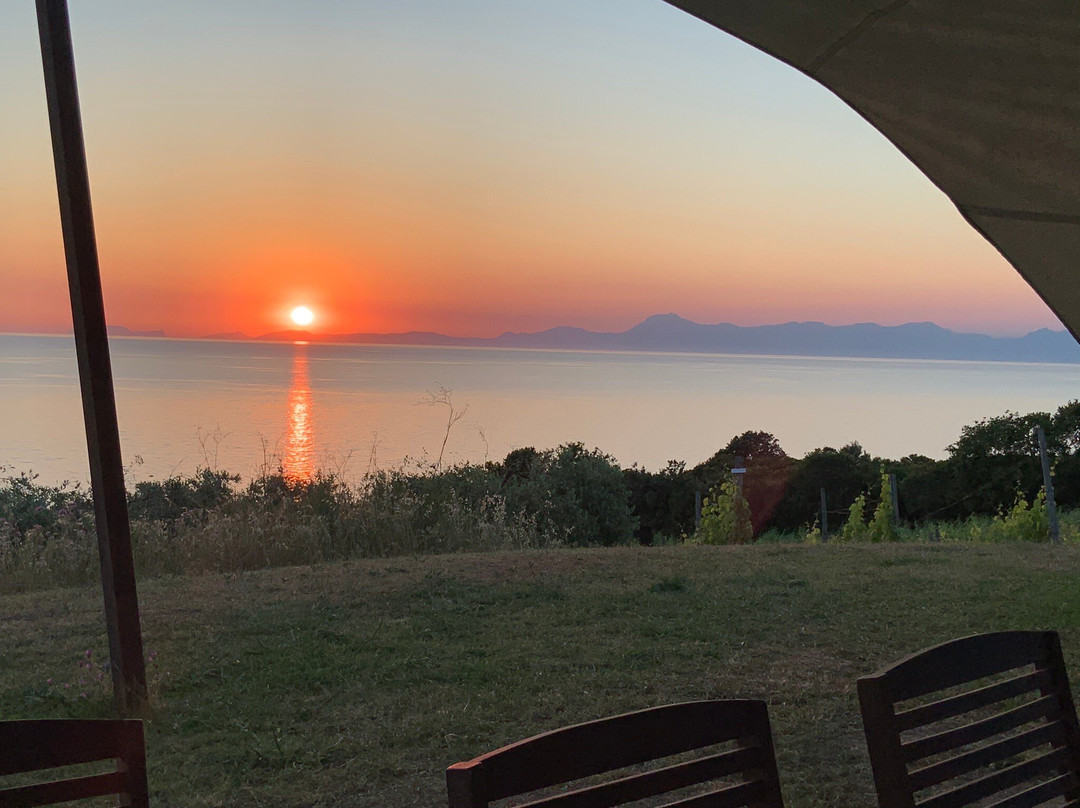 Azienda Agricola San Giovanni主图