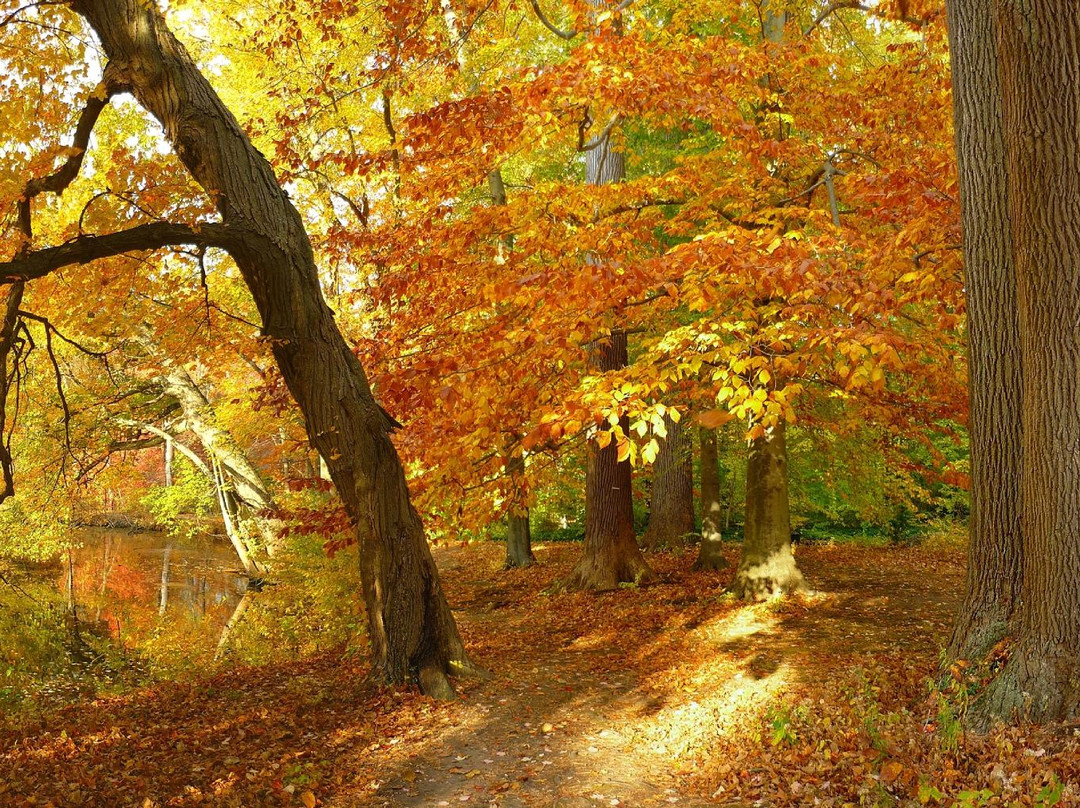 2023年12月Locust Valley旅游景点攻略Locust Valley旅游住宿,Locust Valley旅游美食猫途鹰