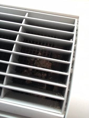 Best Western Inn & Suites主图