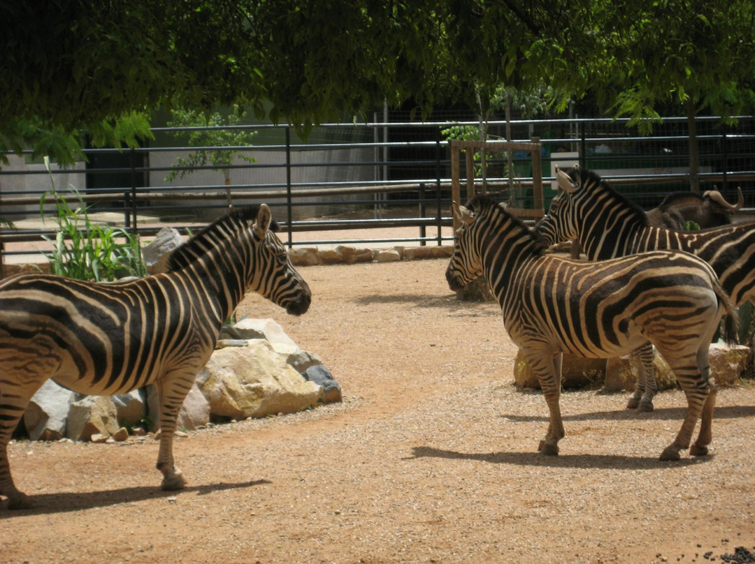 Centro de Conservación Zoo Córdoba景点图片