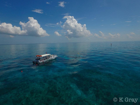 Lost Reef Adventures-基韦斯特必去景点