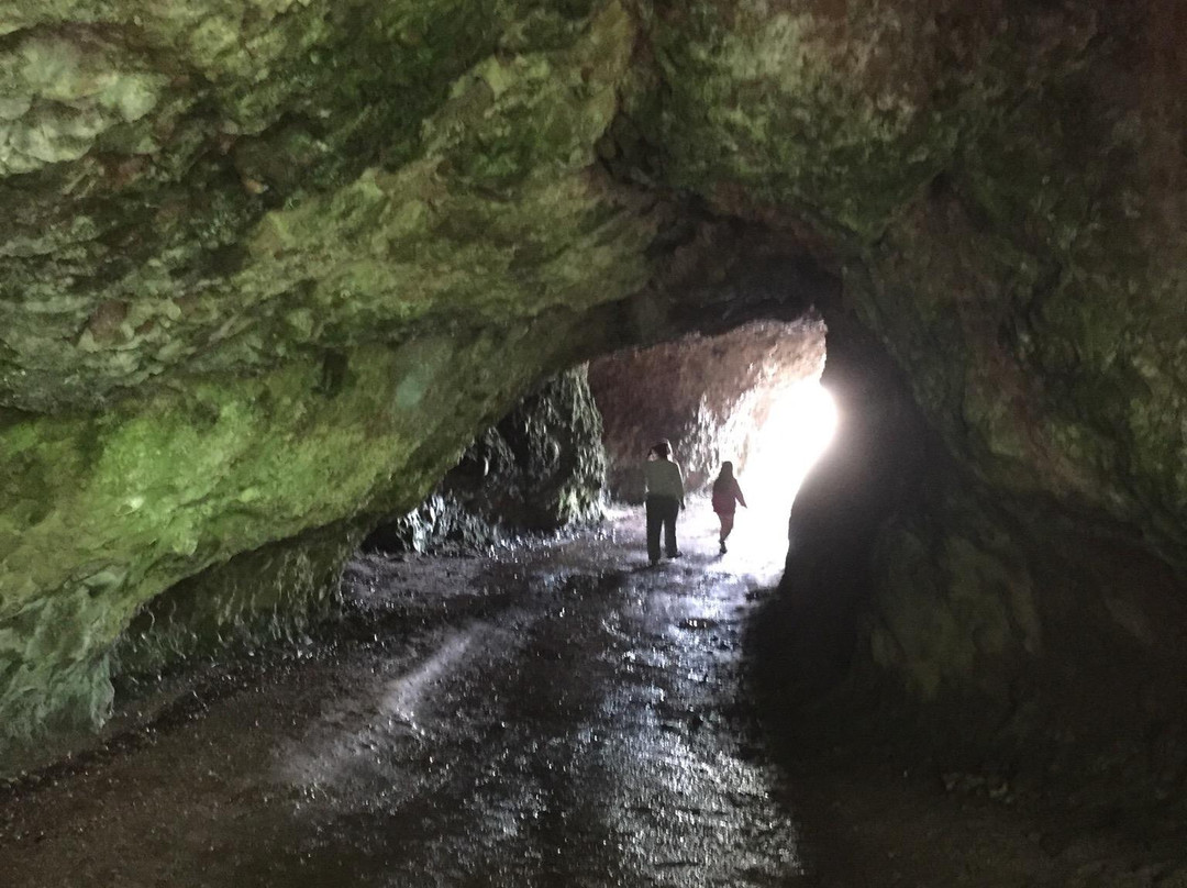 Caves of Cushendun景点图片