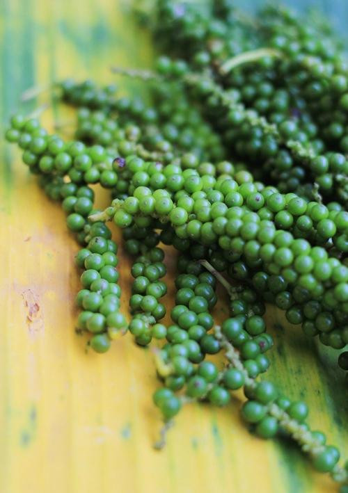 Euphoria Spice and Herbal-Matale必去景点