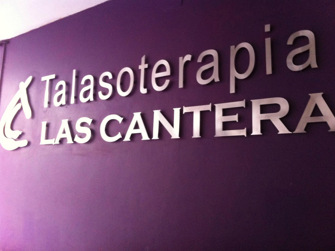 Talasoterapia Las Canteras景点图片