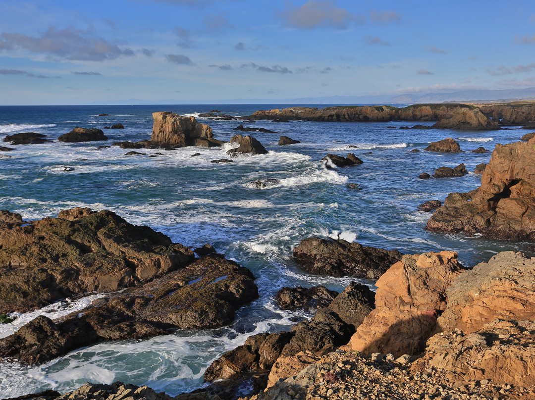 Noyo Headlands Park景点图片