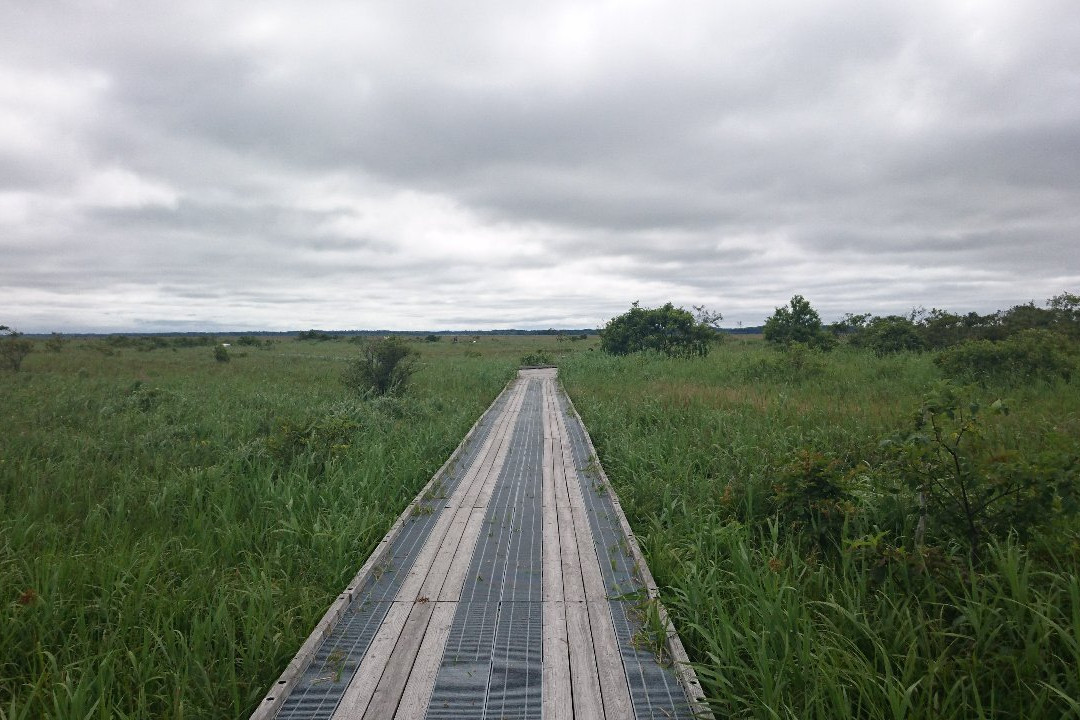 Sarobetsu Marsh Center景点图片