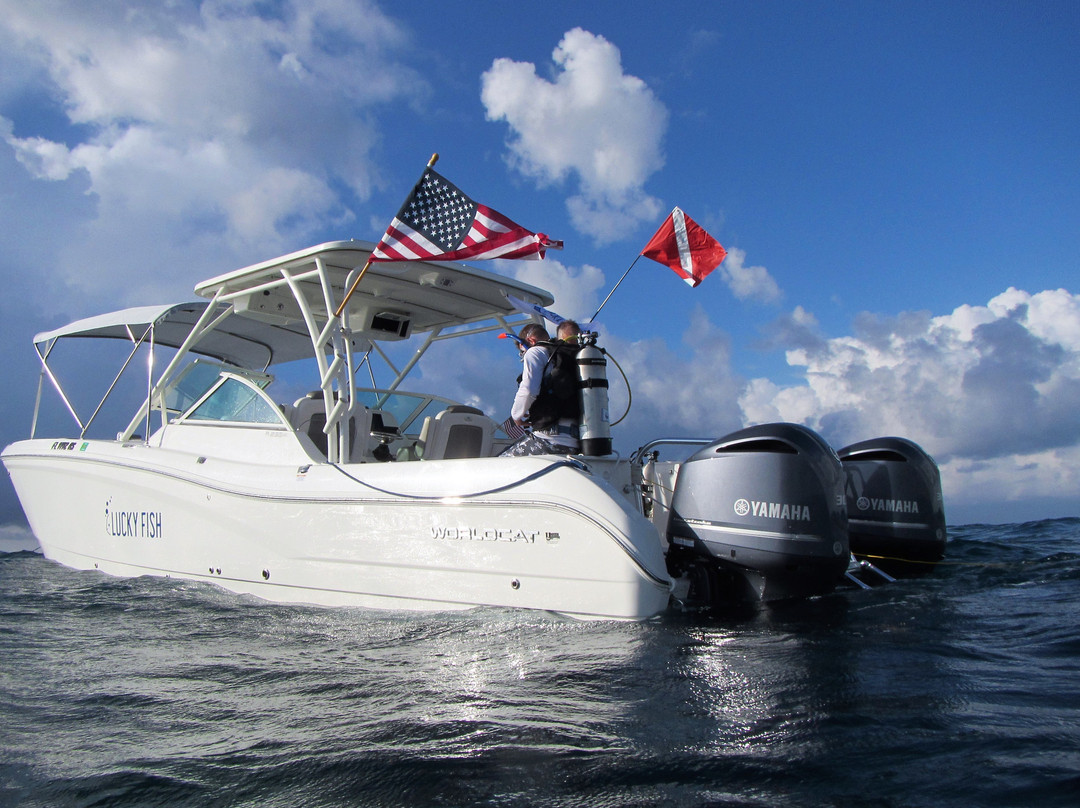 Lucky Fish Scuba-拉哥岛必去景点