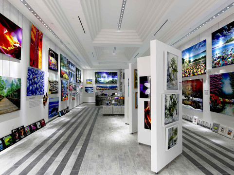 AlexArt International Art Gallery-萨拉索塔必去景点