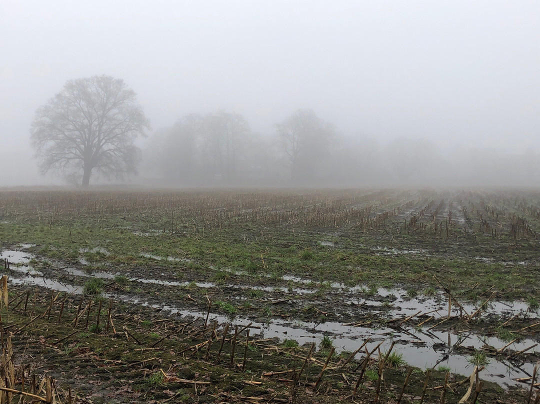 Möwenschutzgebiet-奥尔登堡必去景点