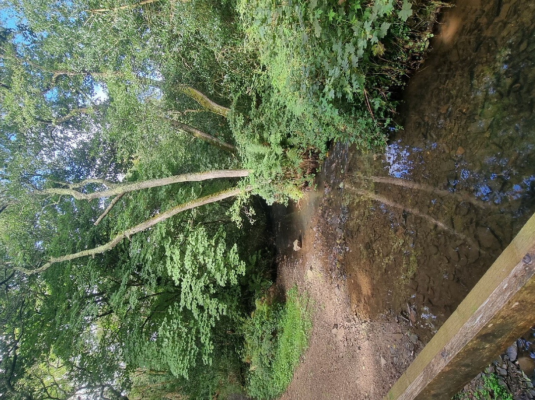 Marsland Nature Reserve, Devon景点图片