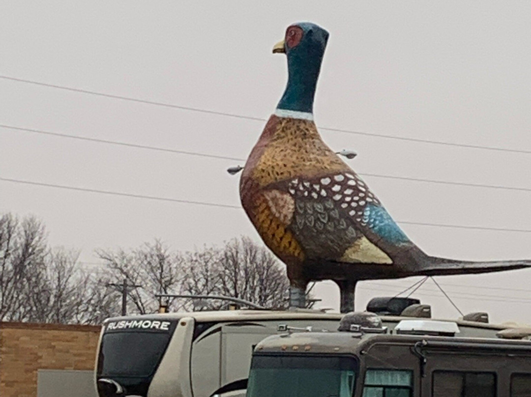 World's Largest Pheasant景点图片