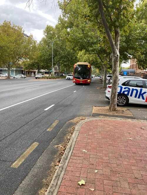 Adelaide Metro Free City Connector Bus and Tram-阿德莱德必去景点