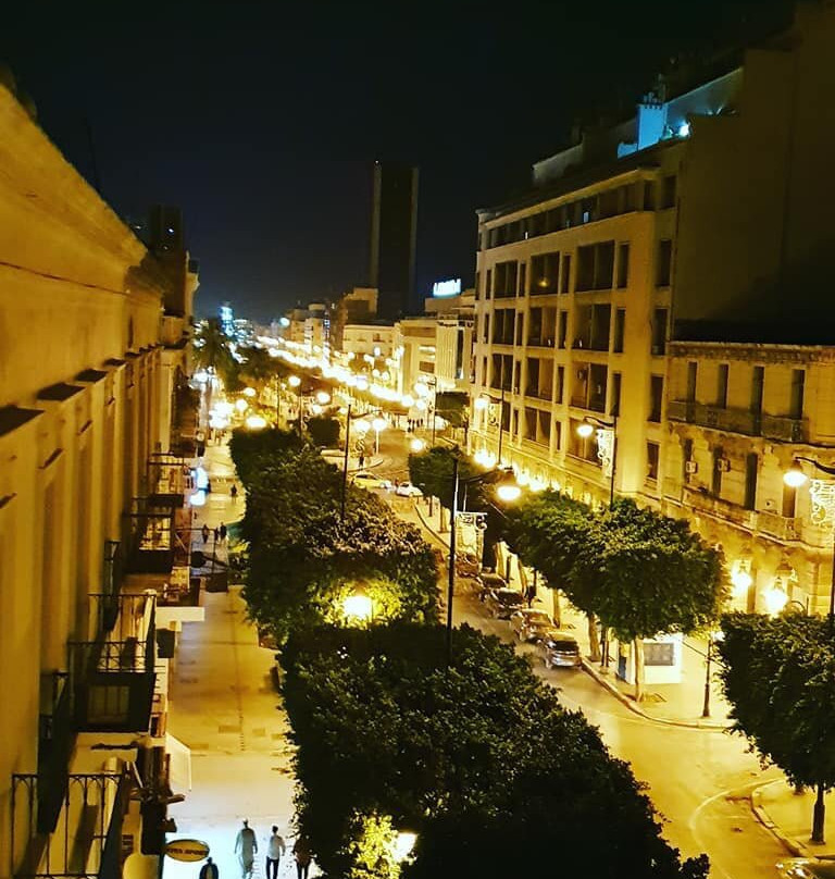 Hôtel Tunisia Palace-突尼斯必去景点