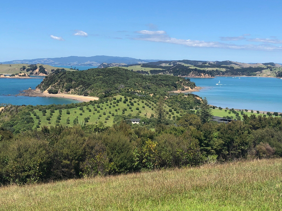 Rotoroa Island-奥克兰必去景点