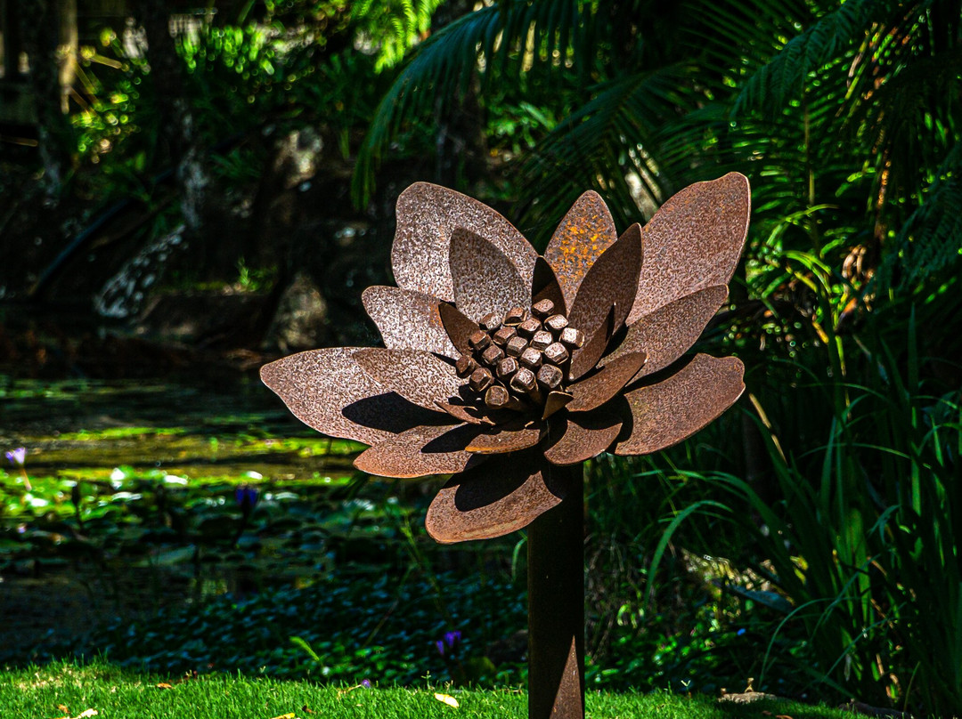 Tamborine Mountain Botanic Gardens景点图片