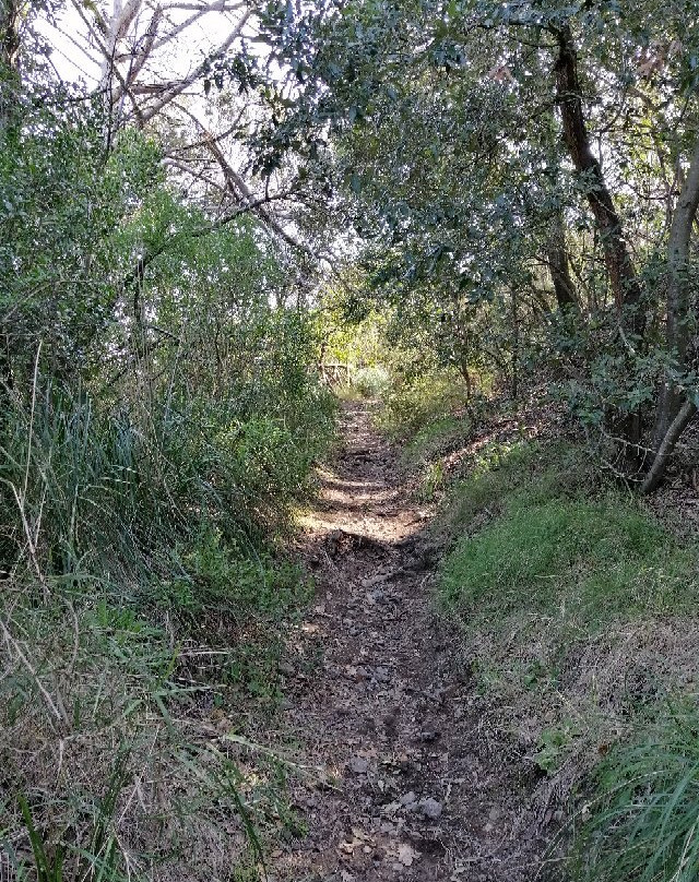 Oasi Naturalistica di Montenuovo景点图片