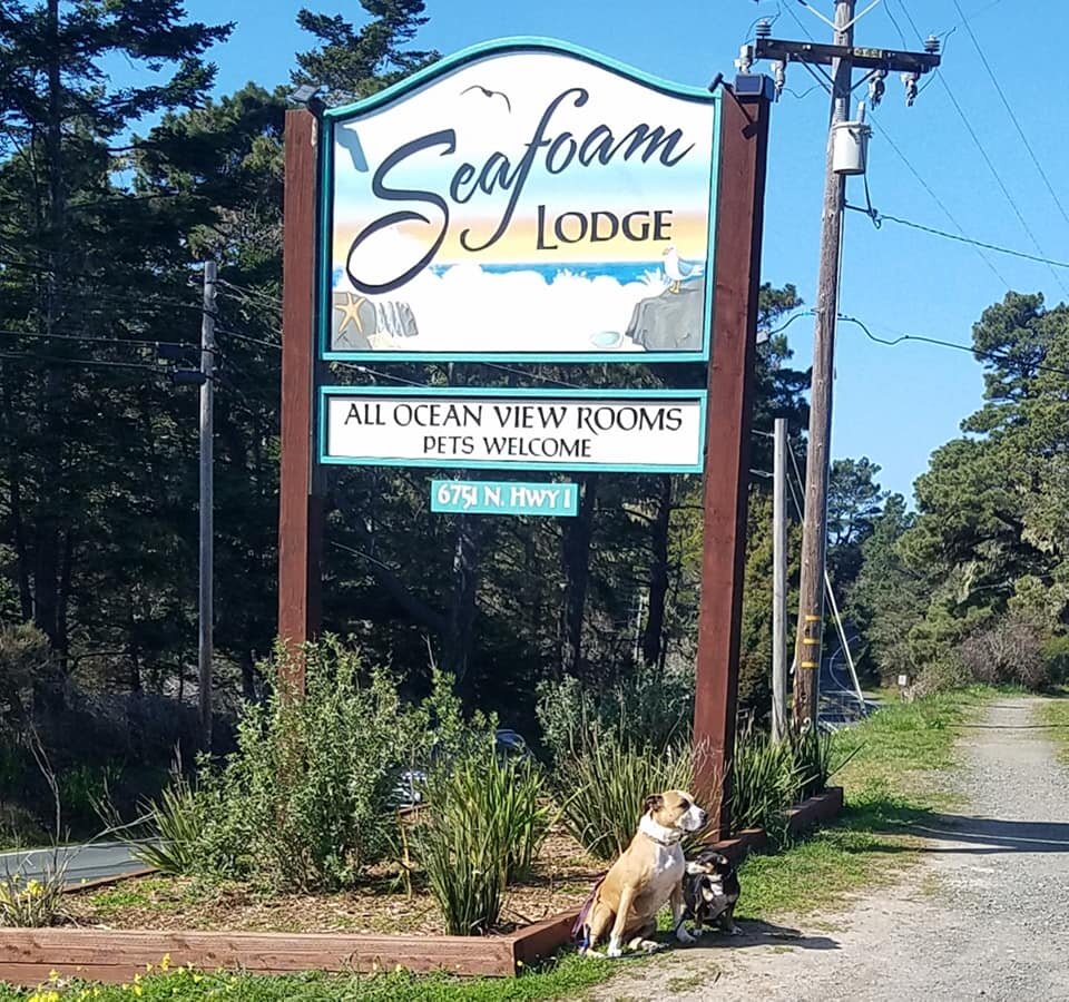 Seafoam Lodge-浴室