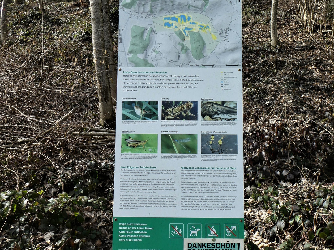 Weiherlandschaft Ostergau-Willisau必去景点