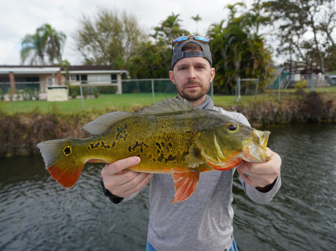 Miami Peacock Adventures - Day Tours-肯德尔必去景点