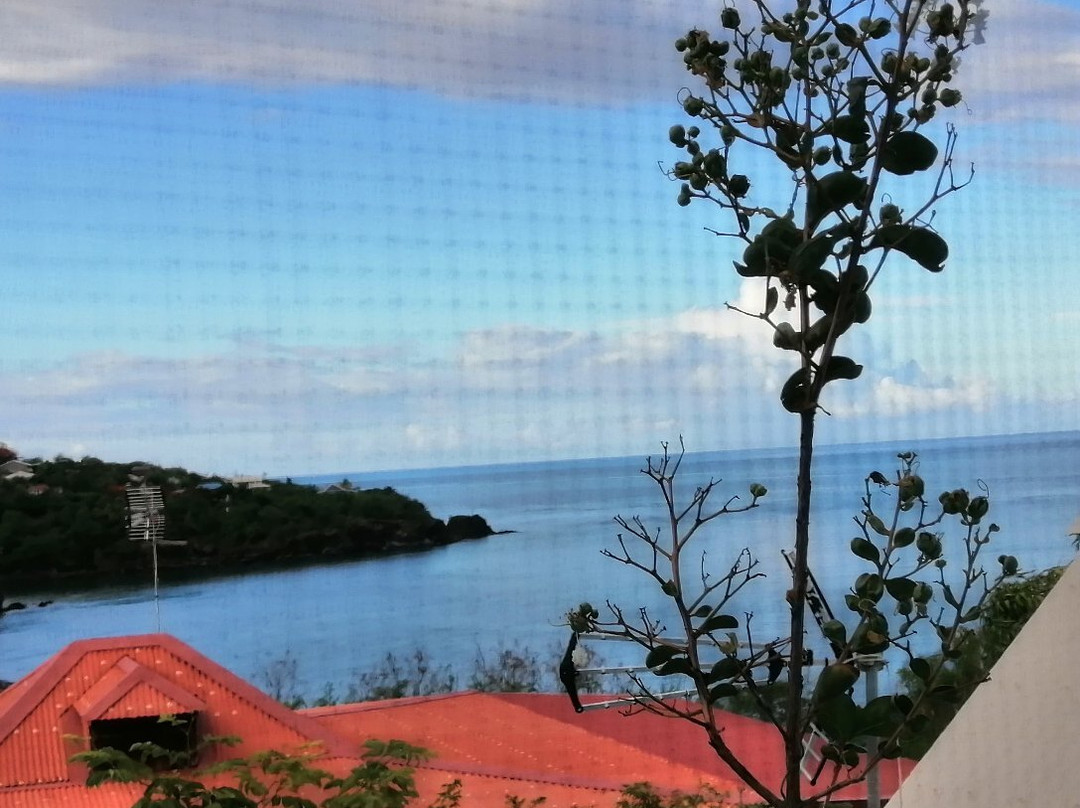 Residence Pommes Cannelles主图