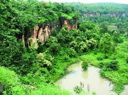 Mahavir Swamy Wildlife Sanctuary景点图片